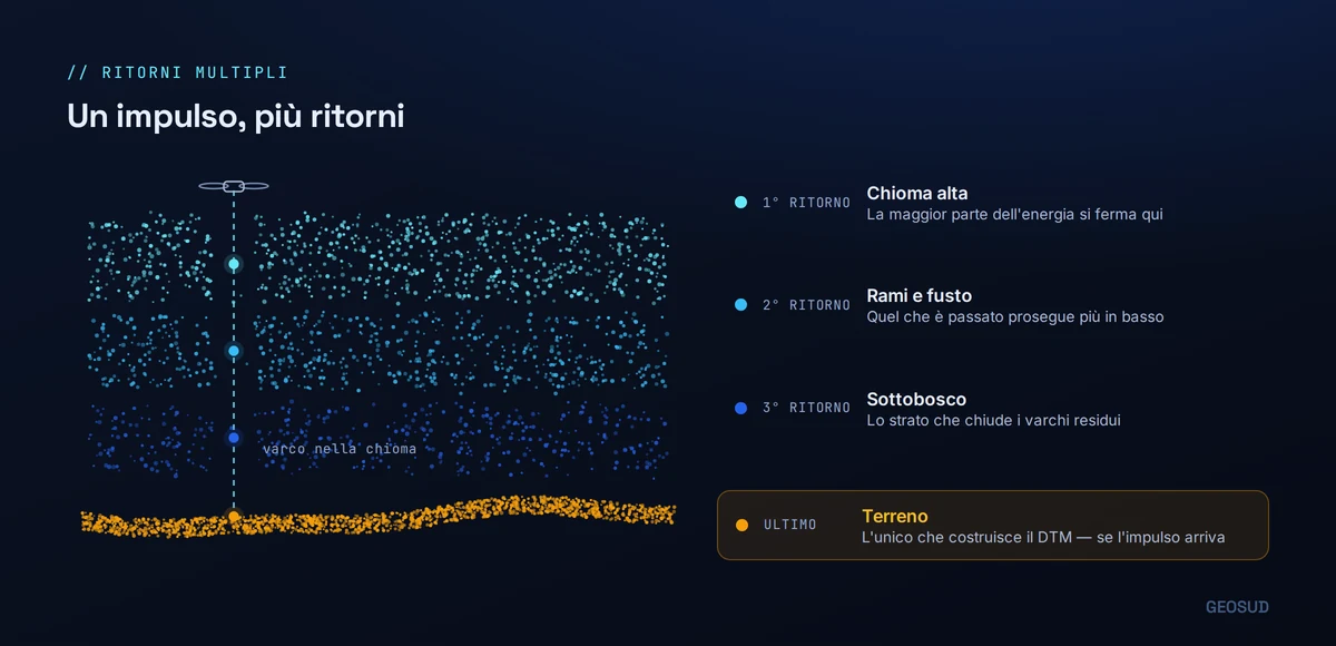 Schema dei ritorni multipli: un impulso laser attraversa i varchi della chioma generando ritorni successivi su chioma alta, rami, sottobosco e infine sul terreno