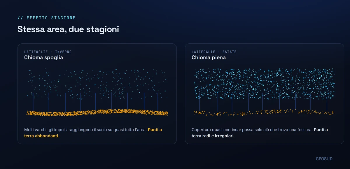 Confronto tra rilievo a chioma spoglia e a chioma piena: a sinistra i punti a terra sono numerosi e distribuiti, a destra molto più radi